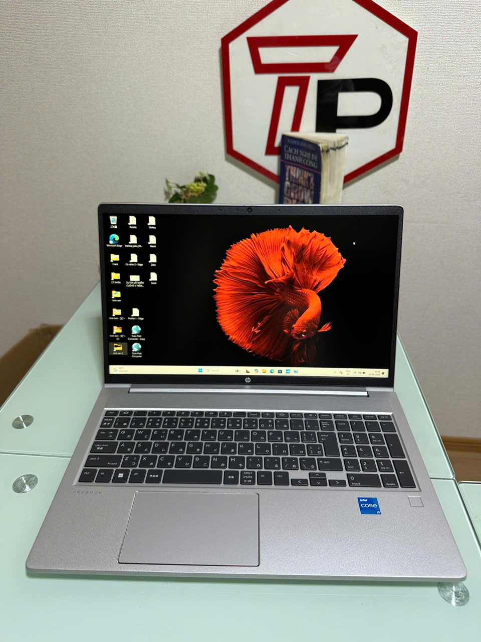 HP ProBook 450G10 / i5-1335U (up to 4.60Ghz | 10 nhân 12 luồng) / RAM 16GB/ SSD 256GB/ 15.6 inch FHD IPS (1920x1080)